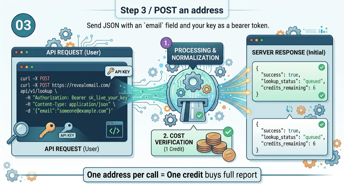 A curl request sending JSON with an email field and a bearer token, the address being normalised, and one credit covering the full report